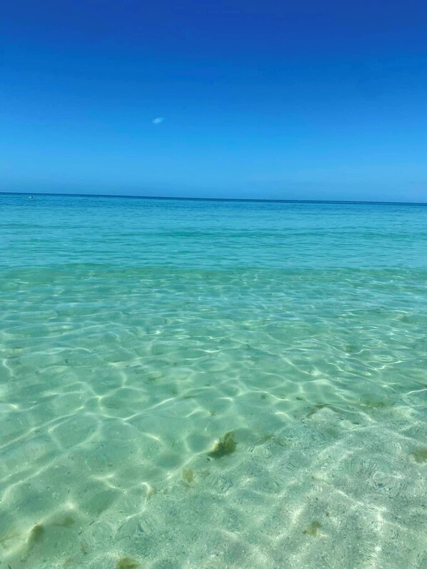 Beach nearby - 2 Bedroom In Indian Rocks Beach, FL - Gulf Side Complex w/ Direct Beach Access (Indian Rocks Beach)