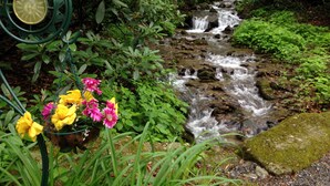 A garden with a small stream, lush greenery, and yellow flowers. -  HOT TUB,WIFI, JACUZZI, FIRE PIT, ~A/C~ CREEK, 2 MIN TO MAGGIE (Maggie Valley)