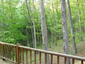 A wooden deck with a view of a dense forest. - Deerfield Resort, Norris Lake, Lakefront 5 bedroom home (La Follette)