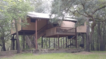 Cabin with deck in the trees