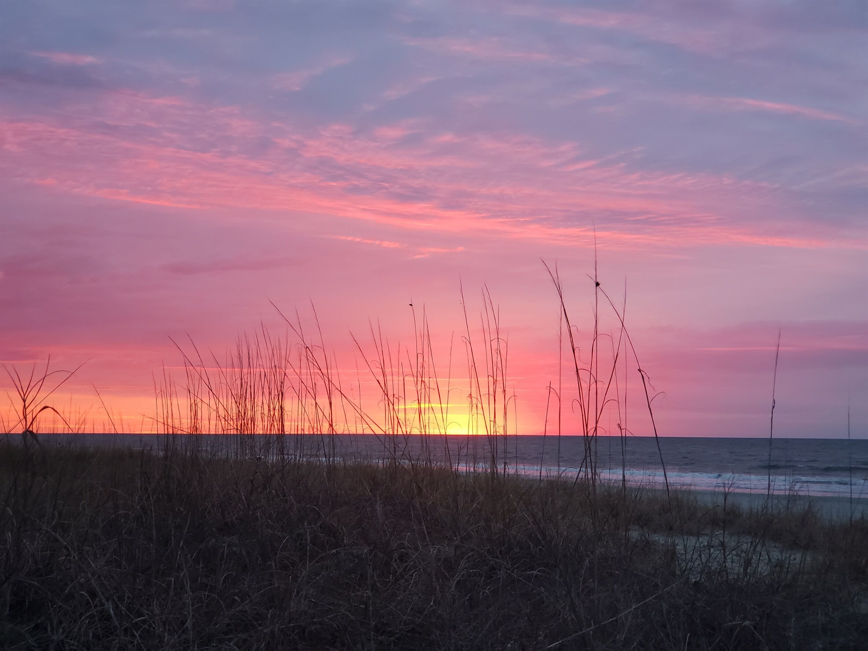 A sunset over a beach with tall grasses in the foreground.