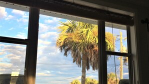 Ein Zimmer mit großem Fenster, Blick auf Palmen und einen klaren Himmel.