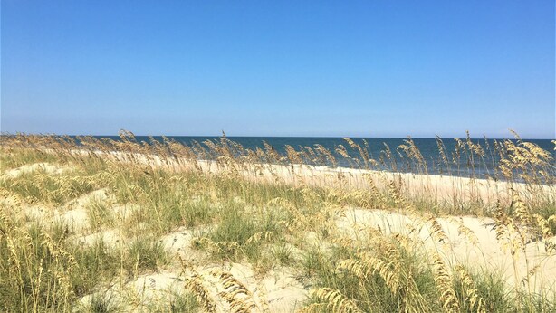 Ein Strand mit Dünen und hohem Gras.