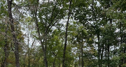 Spectacular Log Home...12 Acres on Private Cove, Lakefront