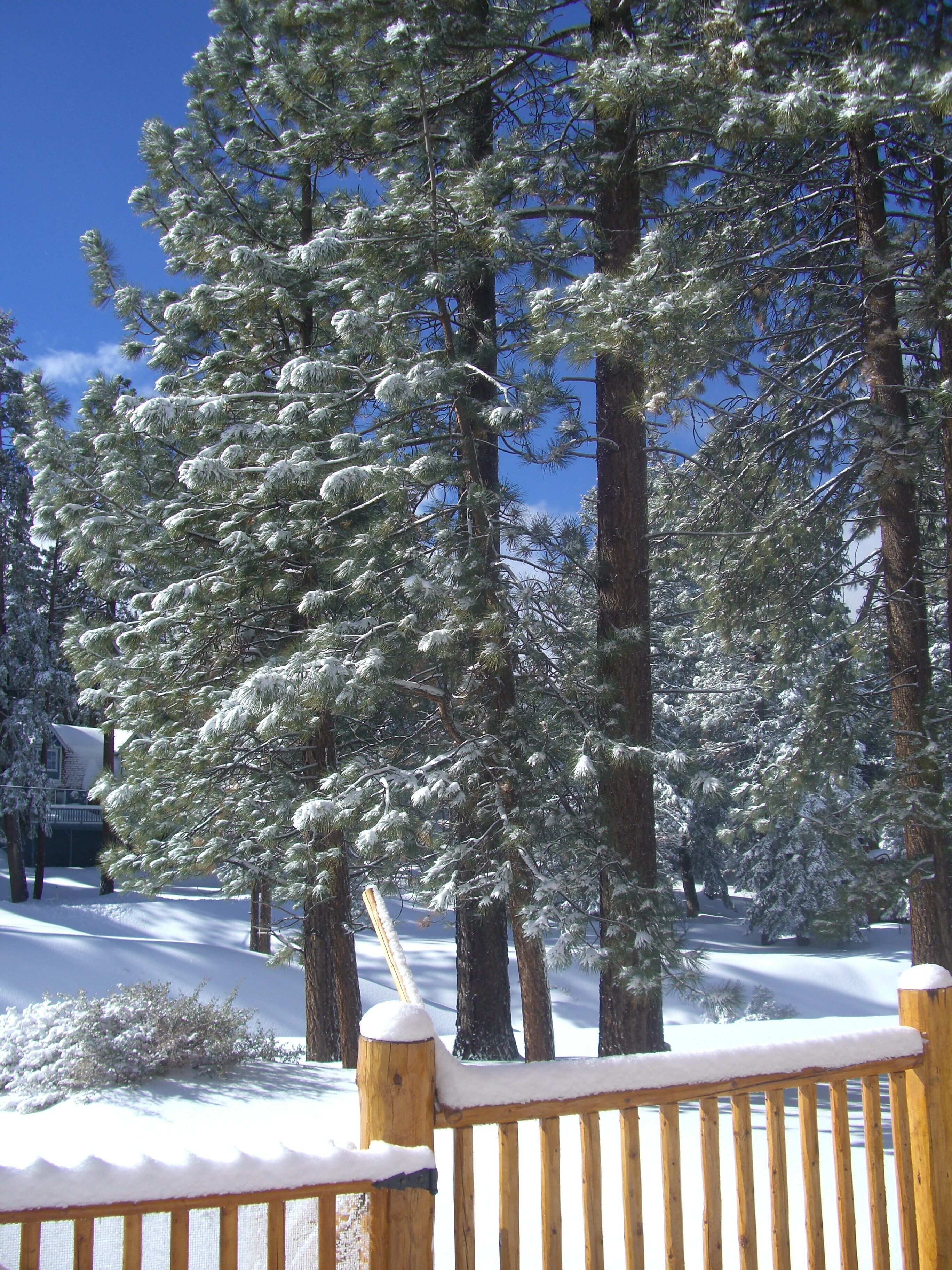 Big field for snow play off your back deck and a gorge for sledding!
