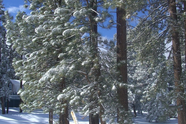 Terrain de l’hébergement