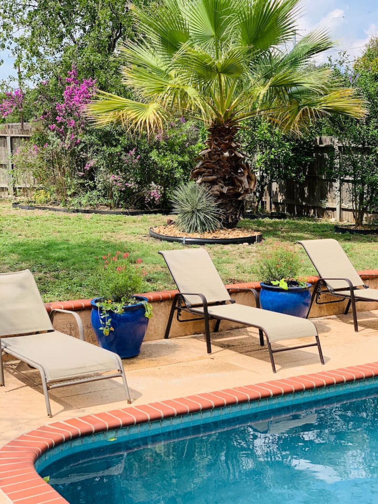 Una piscina con sillas de descanso y plantas en macetas.