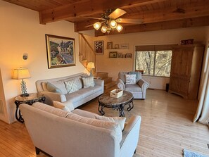 TV, fireplace, DVD player, books