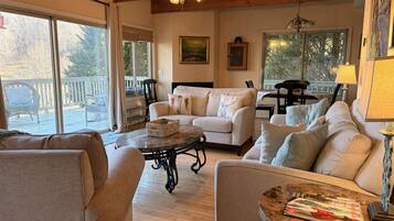 電視、壁爐、DVD 播放機、書籍