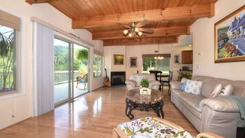 TV, fireplace, DVD player, books