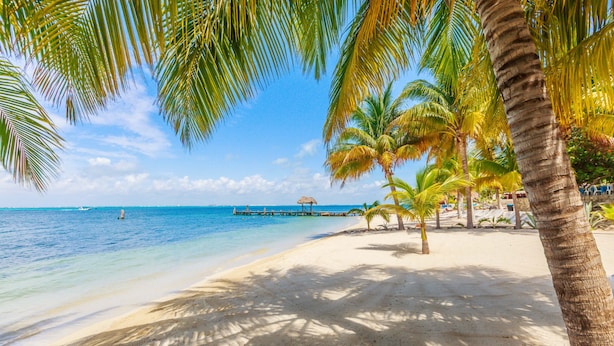Een strand met helderblauw water, palmbomen en een houten pier.