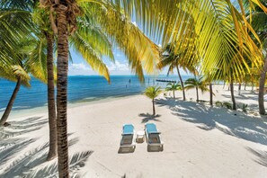 Plage, chaises longues, serviettes de plage