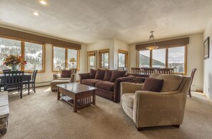 TV, fireplace, video games, DVD player
