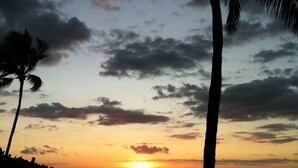 A sunset over the ocean with palm trees silhouetted against the sky.