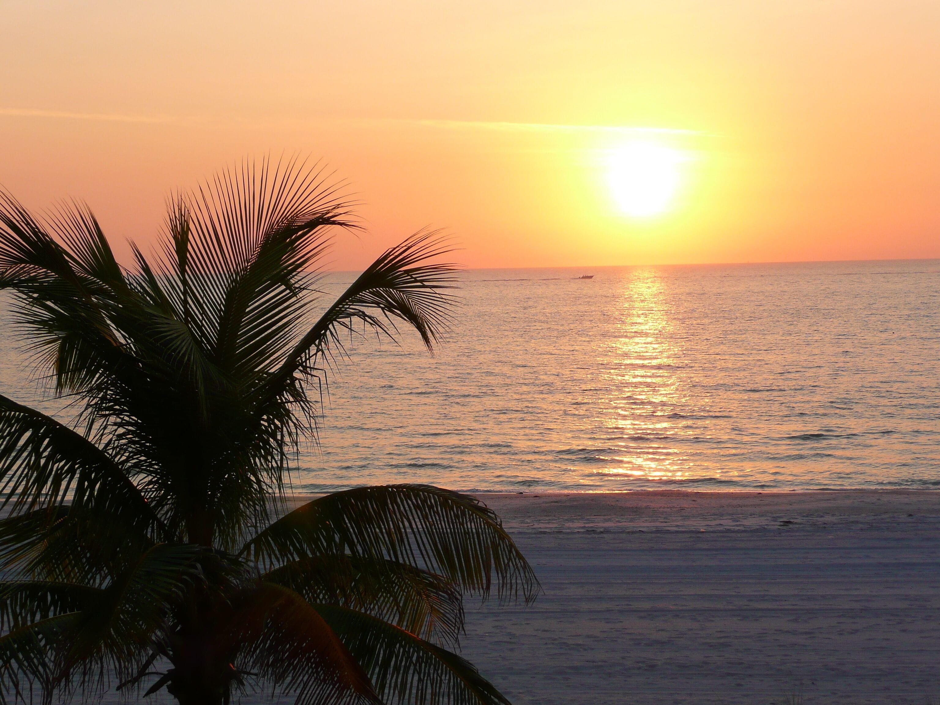 HARBOR HOUSE BEACH RETREAT - 1/1 FIRST FLOOR CONDO JUST STEPS TO SUNSET BEACH!