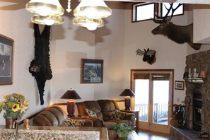 スマートテレビ、暖炉、テレビゲーム、DVD プレーヤー