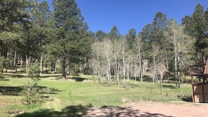 Zona boscosa con un sendero de tierra y una estructura de madera.