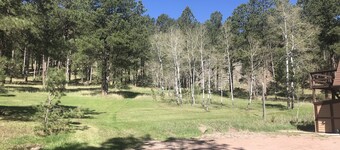 Amazing Cabin on 15 Acres of Woods Adjacent to Custer State Park