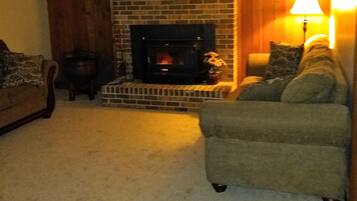 Televisión, chimenea y reproductor de DVD