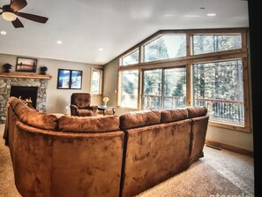 Smart TV, fireplace, DVD player, books