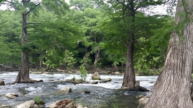 A river flowing through a forest with large rocks and trees. - Green House on the River, Walk to Gruene Hall! (NEW BRAUNFELS)