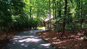 A paved path through a forested area with trees on both sides.
