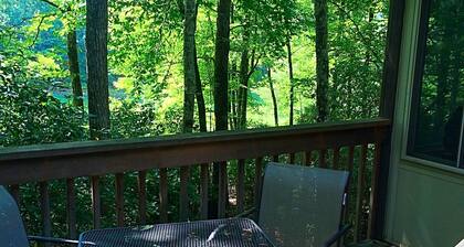 Awesome Mountain Home Get- Away- Connestee Falls- Hiking, Kayaking, Biking &mr