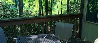 Awesome Mountain Home Get- Away- Connestee Falls- Hiking, Kayaking, Biking &mr