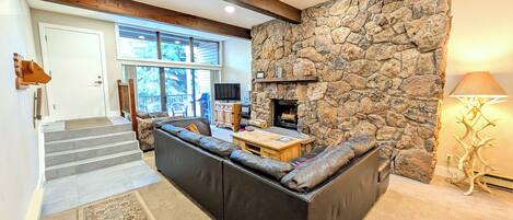 Tv, pejs, dvd-afspiller