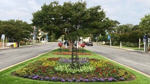 Una strada con aiuola centrale e alberi, decorata con fiori vari.