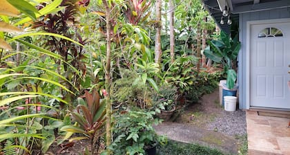 Studio de maison privée avec une sensation de jungle mais avec la commodité de la ville de Hilo