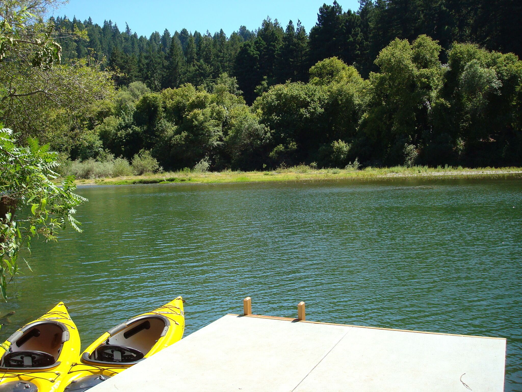 View from dock in summer