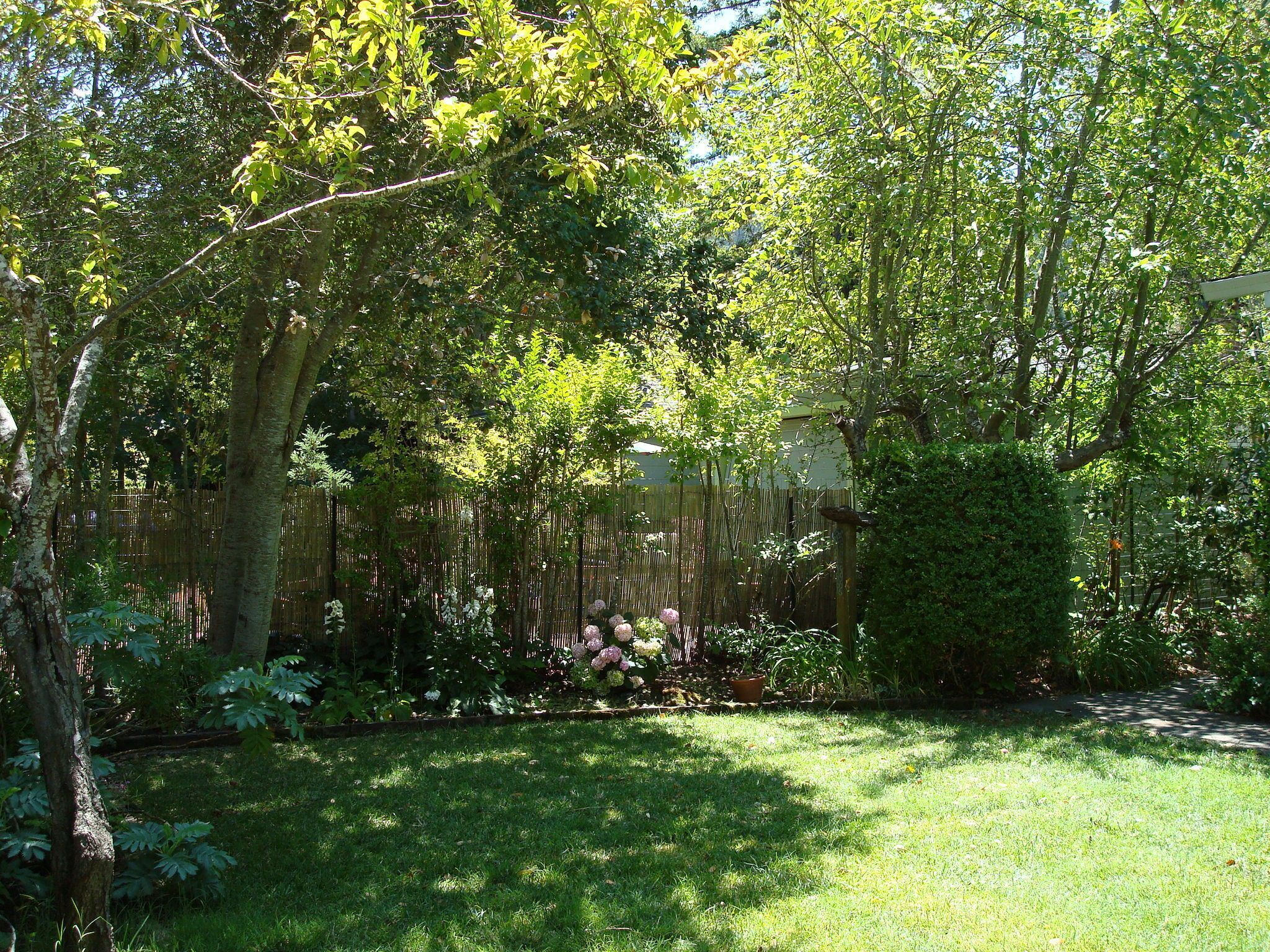 grassy front yard next to street in front of house.