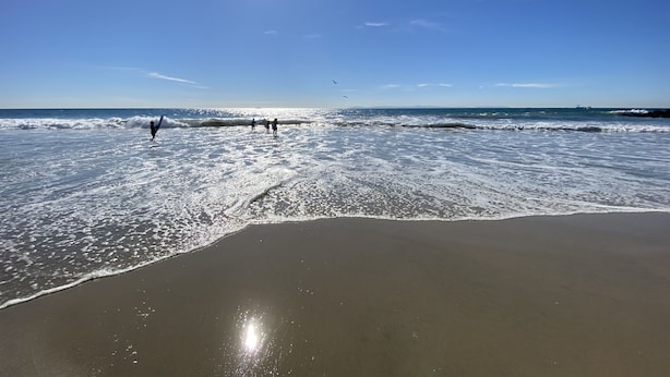 A beach with clear skies and calm waves. - Beach1Min Disney25Min Parking W/D Bikes Fast WiFi (Newport Beach)