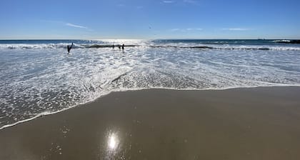 1Min2BeachDisney25MinEVChargeParkingBikesBBQWasher