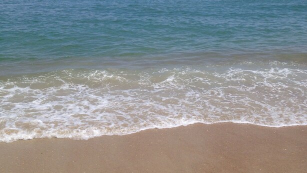 Una playa con agua cristalina y una orilla arenosa.