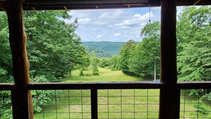 Vista a través de una ventana con marco de madera y celosía metálica, sobre un paisaje verde y exuberante con árboles y una colina distante.