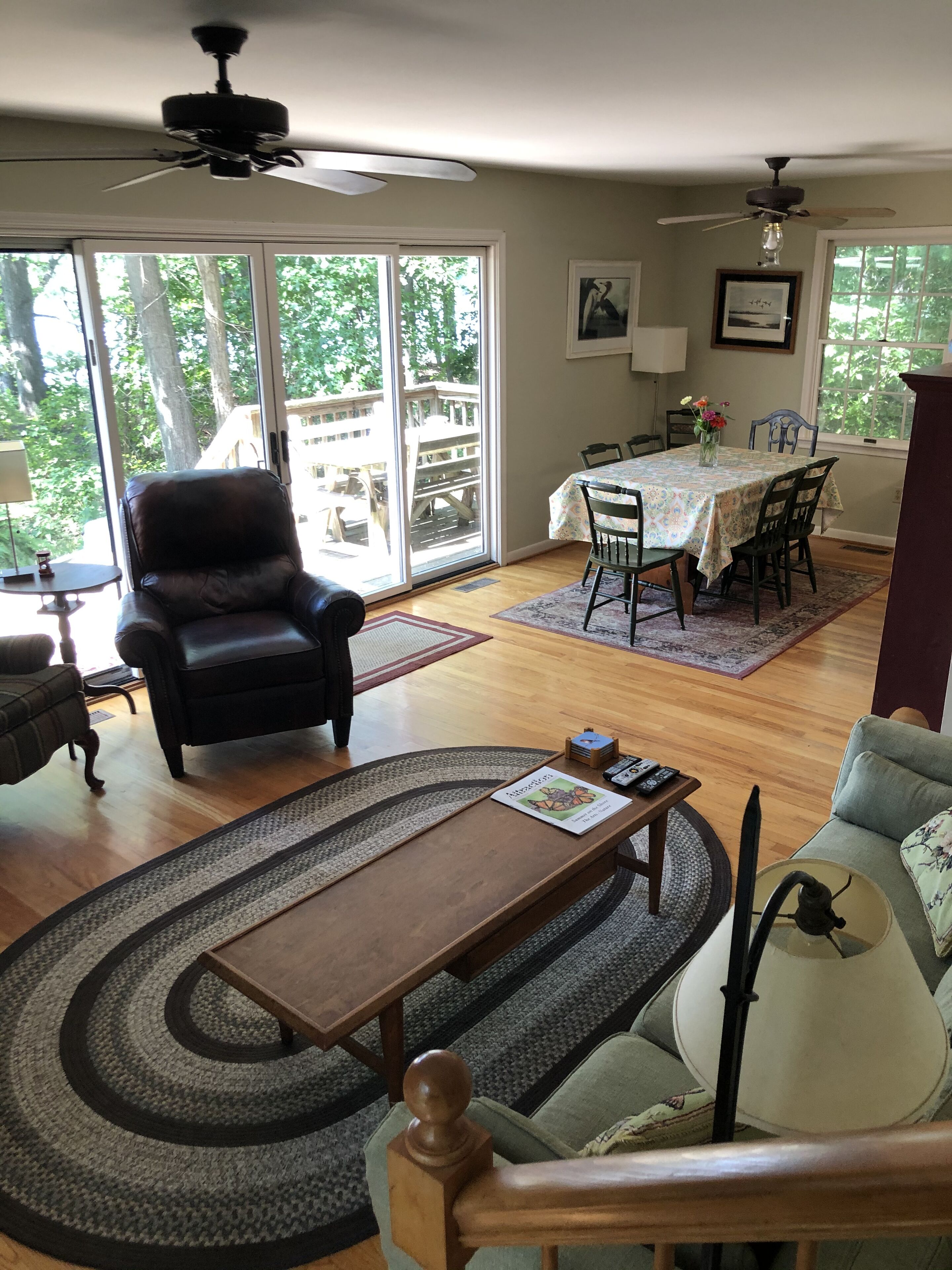 Télévision, cheminée, lecteur de DVD, livres