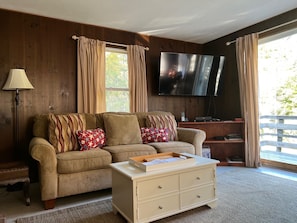 Smart TV, chimenea y reproductor de DVD