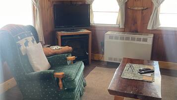 TV connectée, cheminée, lecteur de DVD, livres