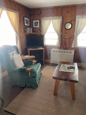 Smart TV, fireplace, DVD player, books