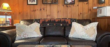 TV connectée, cheminée, lecteur de DVD, livres