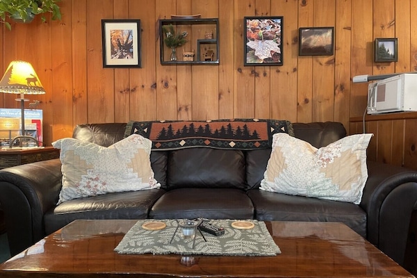 Smart-TV, Kamin, DVD-Player, BĂŒcher