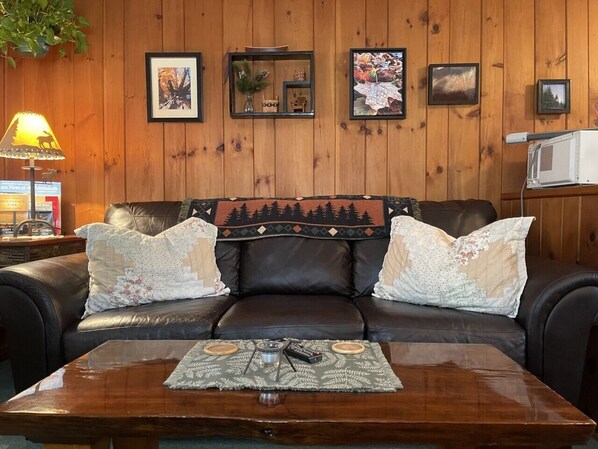 Smart TV, fireplace, DVD player, books