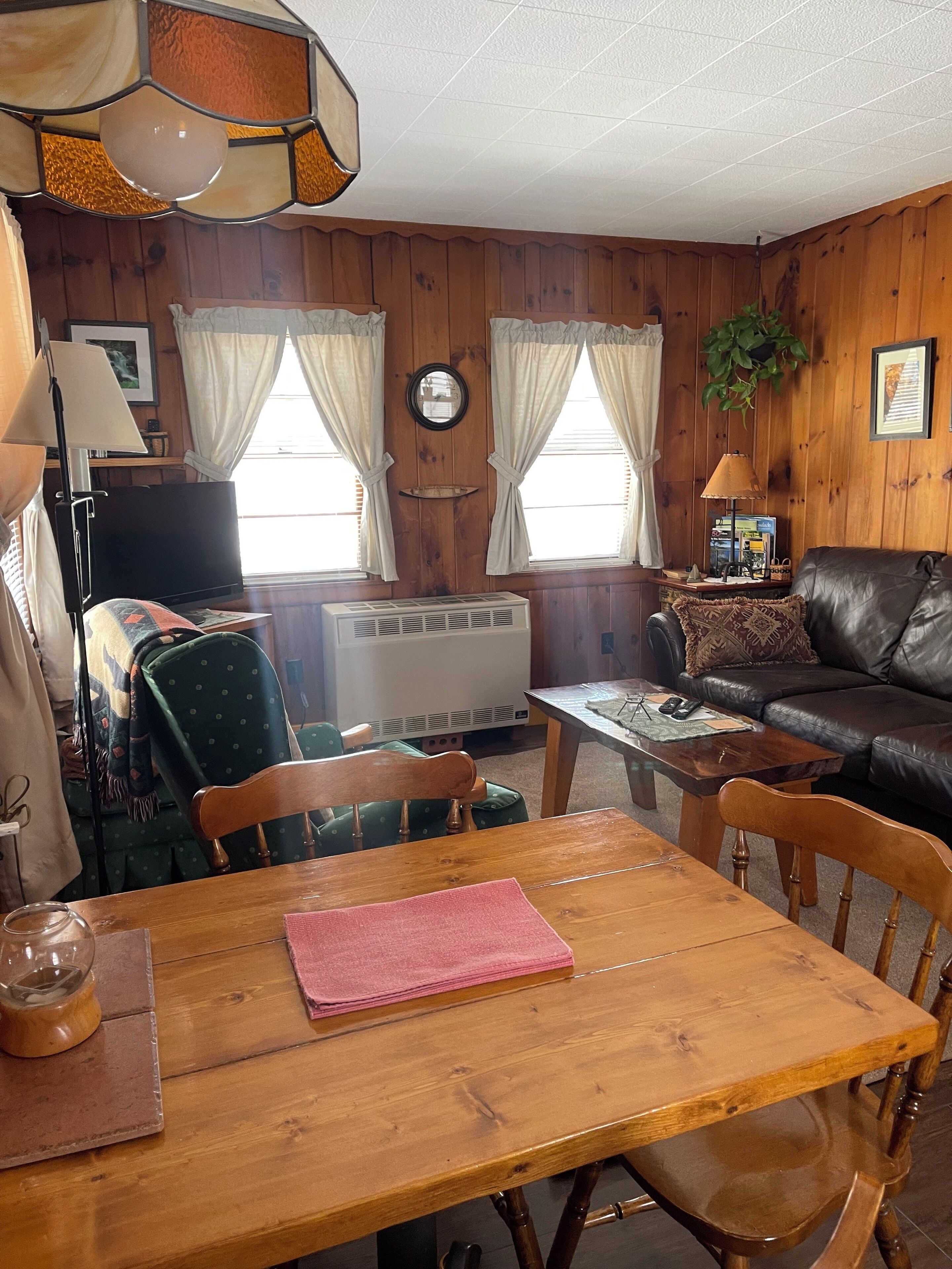 Smart TV, fireplace, DVD player, books