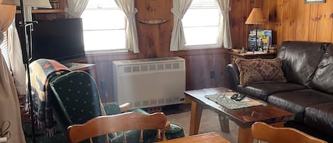 TV connectée, cheminée, lecteur de DVD, livres