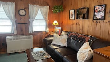 Smart TV, chimenea, reproductor de DVD y libros