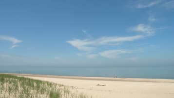 Sun loungers, beach towels