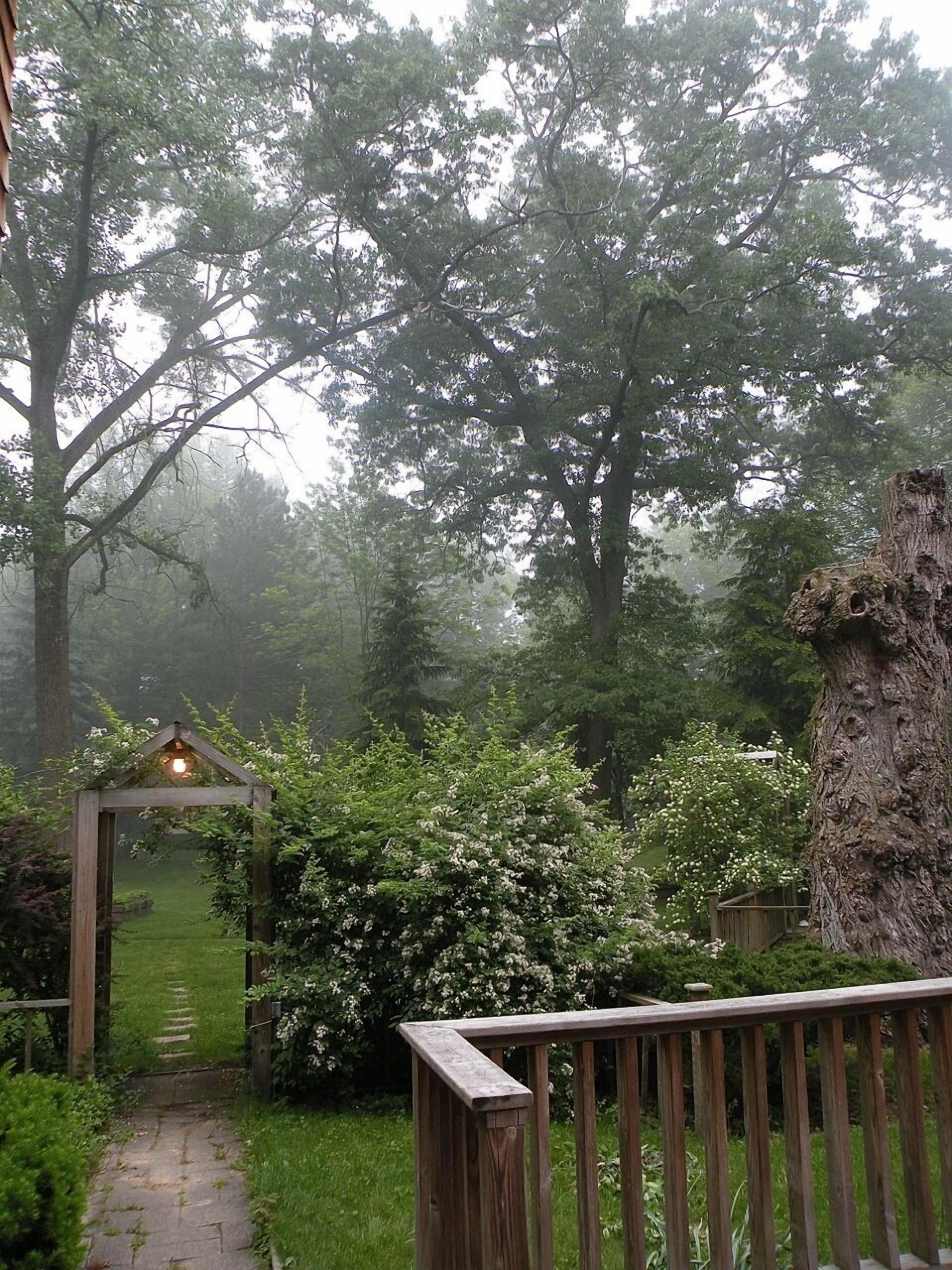 A wooden deck with a stone pathway leading through a misty forest.