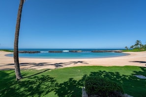 Vista de una playa con cielo despejado, arena dorada y algunas palmeras.